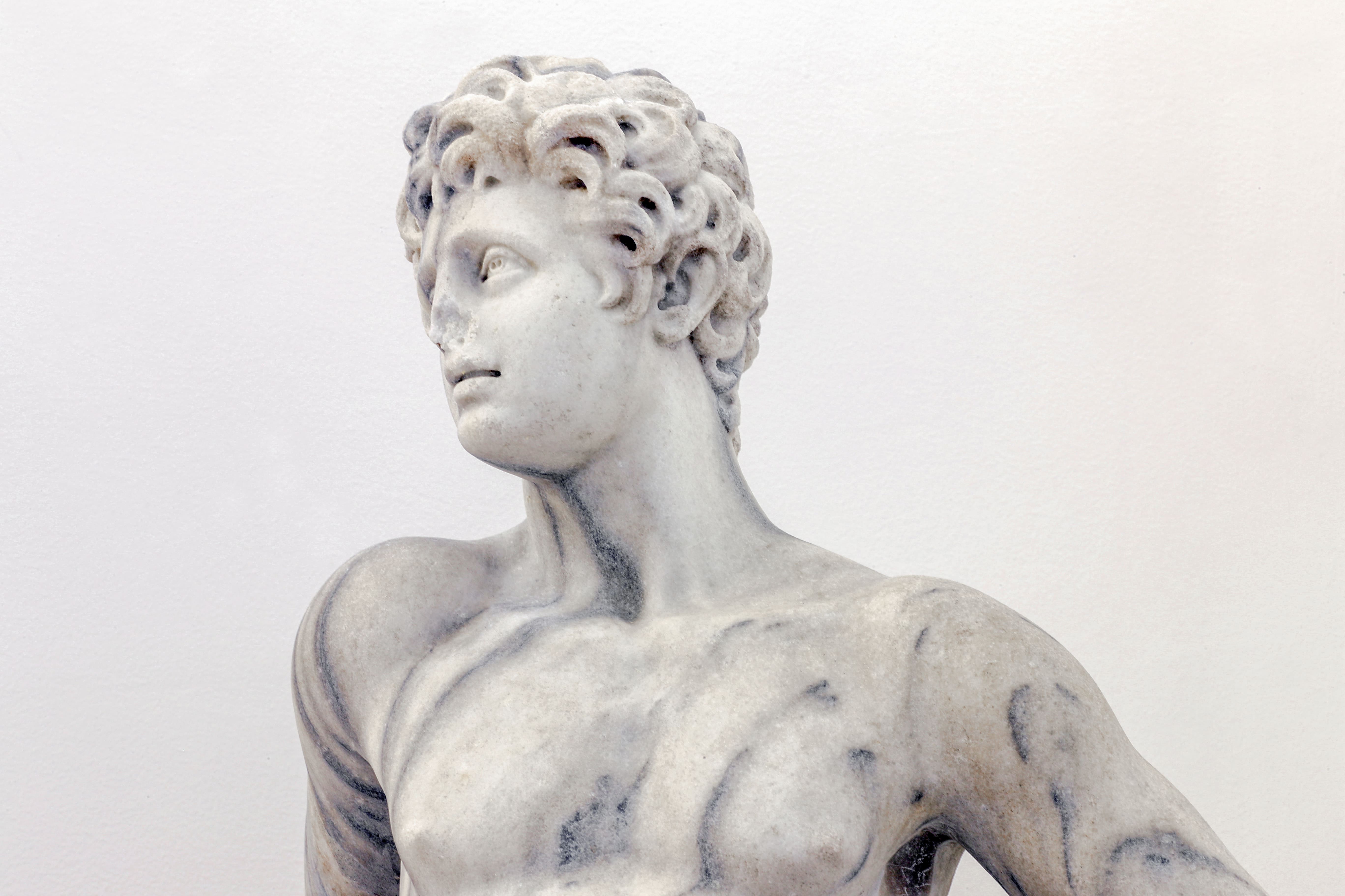 immagine della testa della Statua di Meleagro