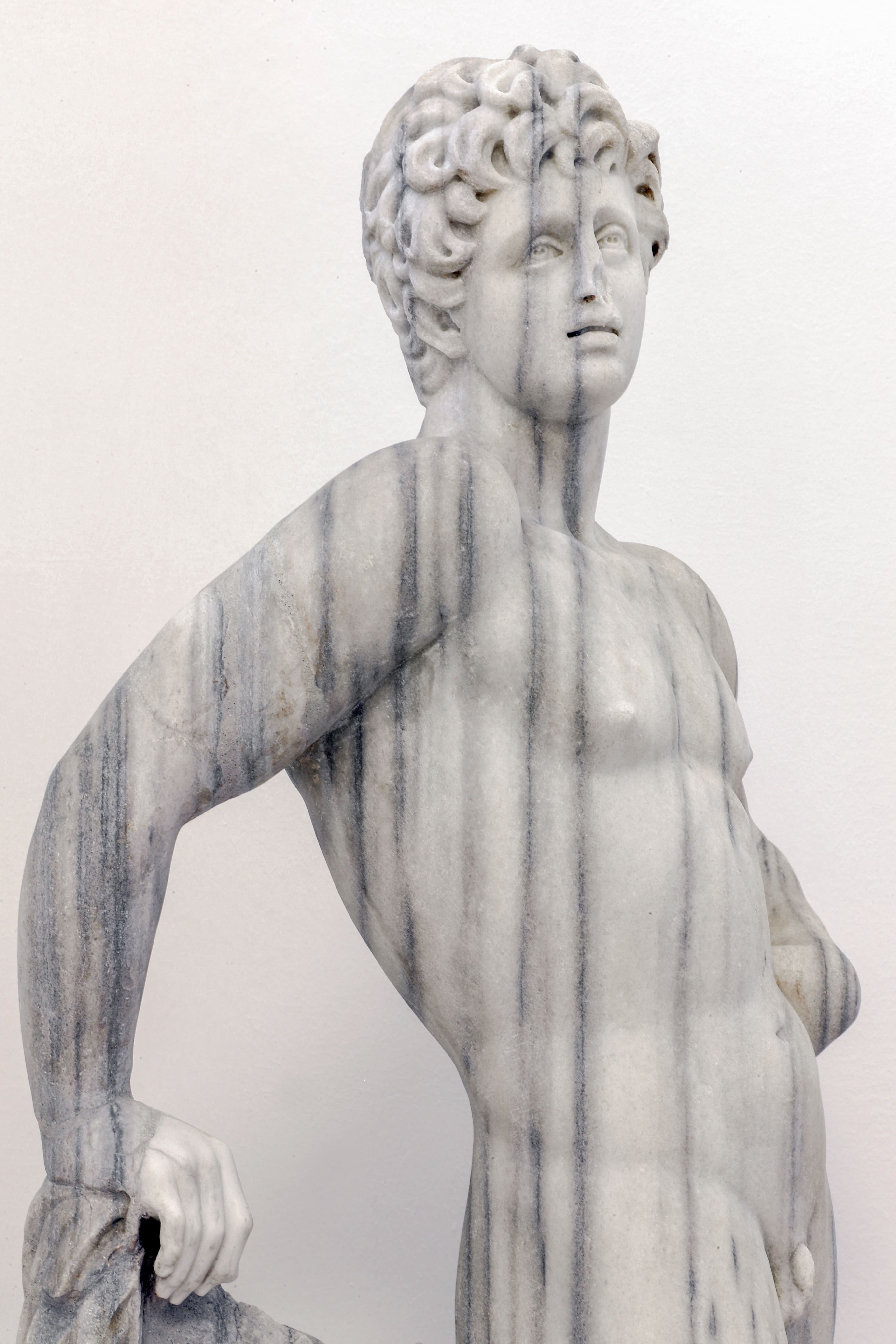 immagine del fianco della statua di Meleagro