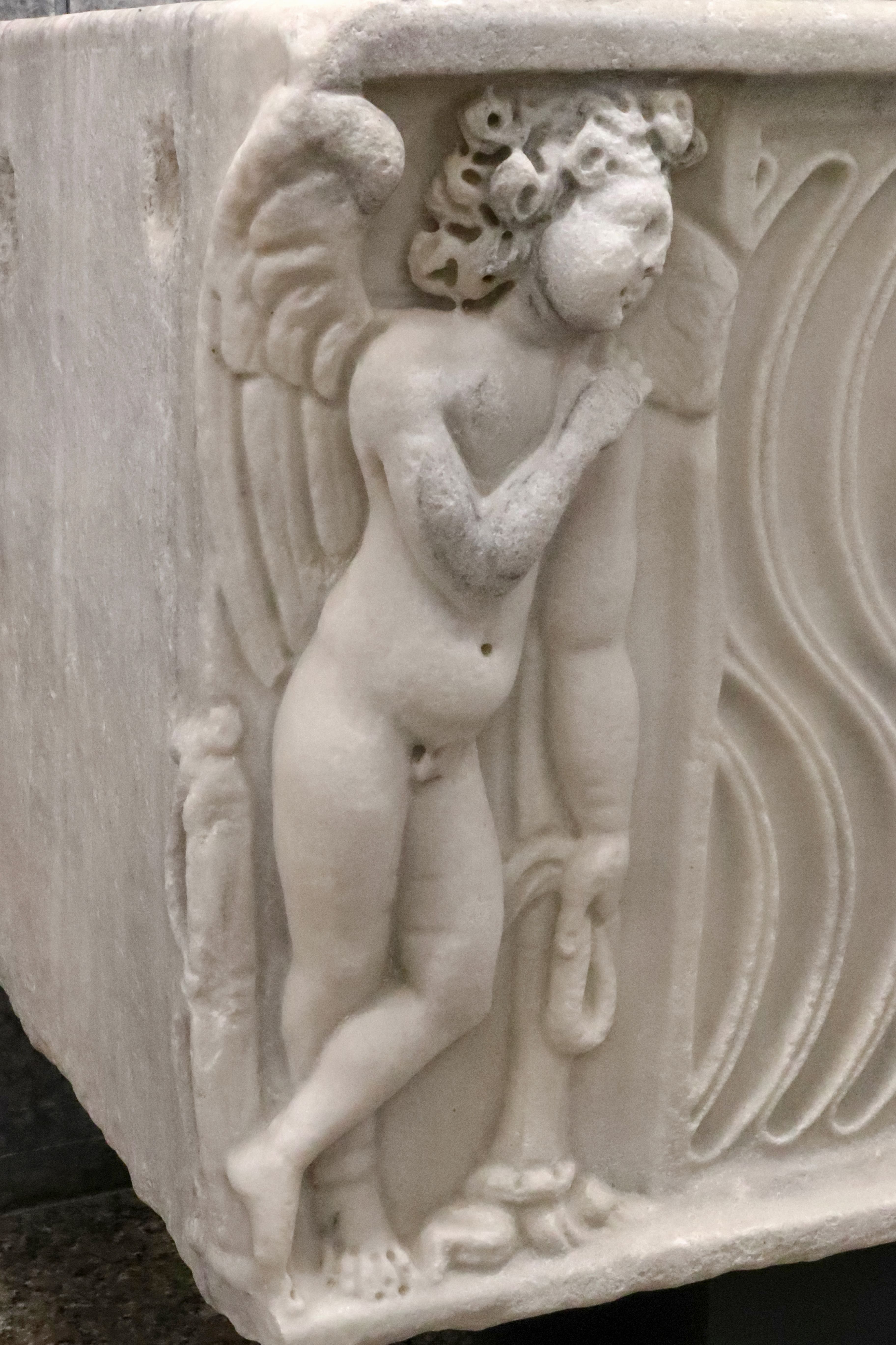 immagine del dettaglio laterale del sarcofago strigilato con eroti funerari e clipeo centrale con raffigurazione del defunto