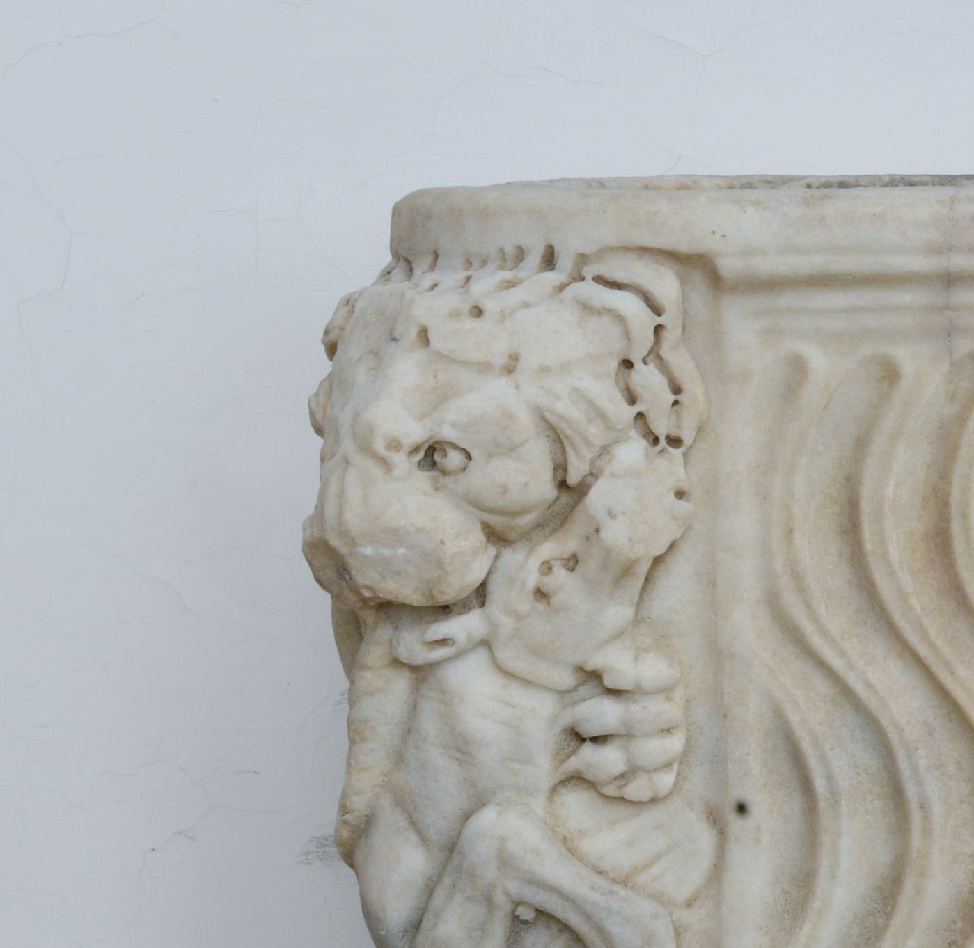 immagine laterale del sarcofago strigilato